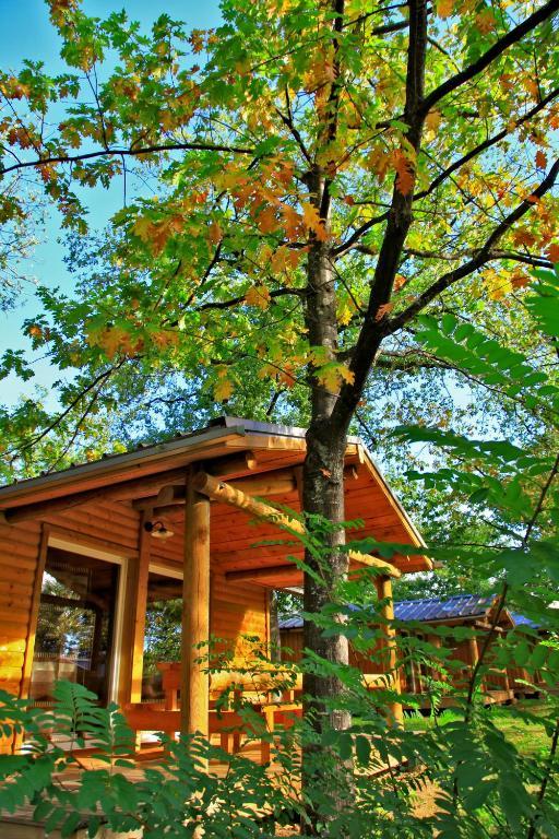 Albirondack Camping Lodge & Spa Pokoj fotografie